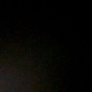 Secret box of goodies! 5 items.